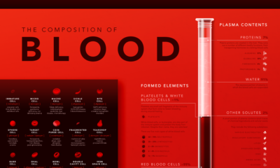 composition of blood