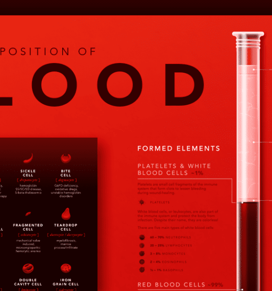 composition of blood