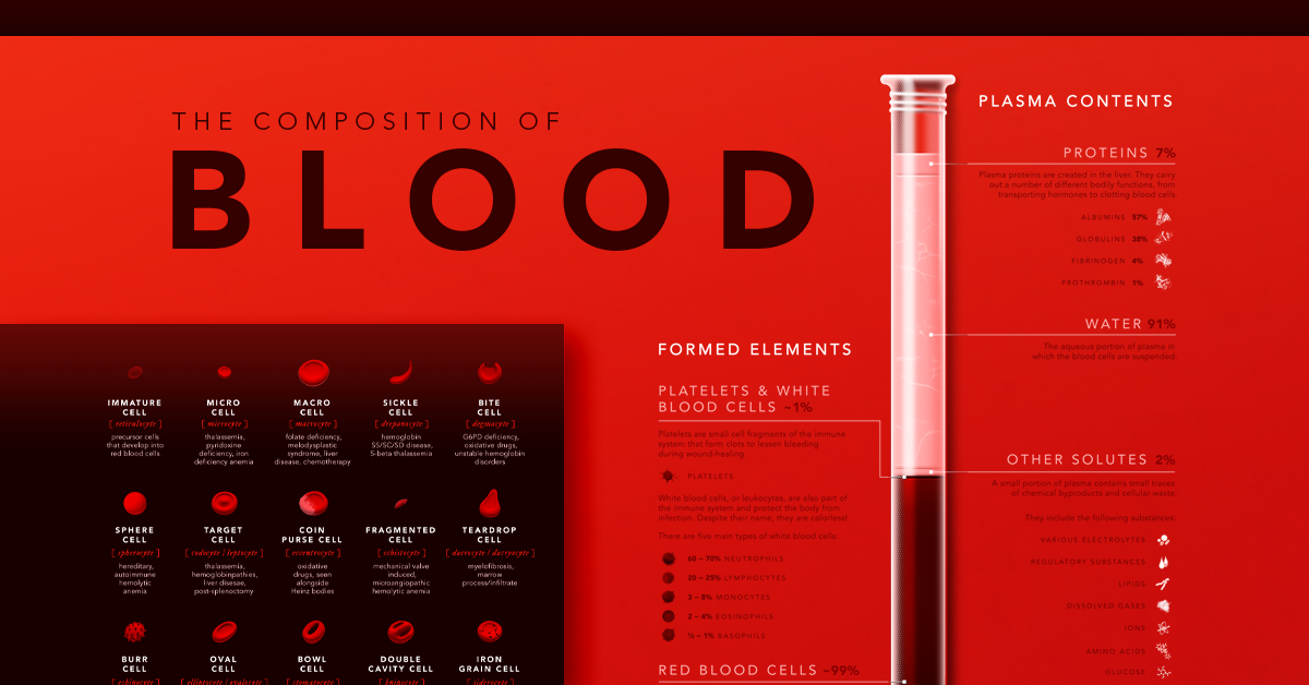 composition of blood