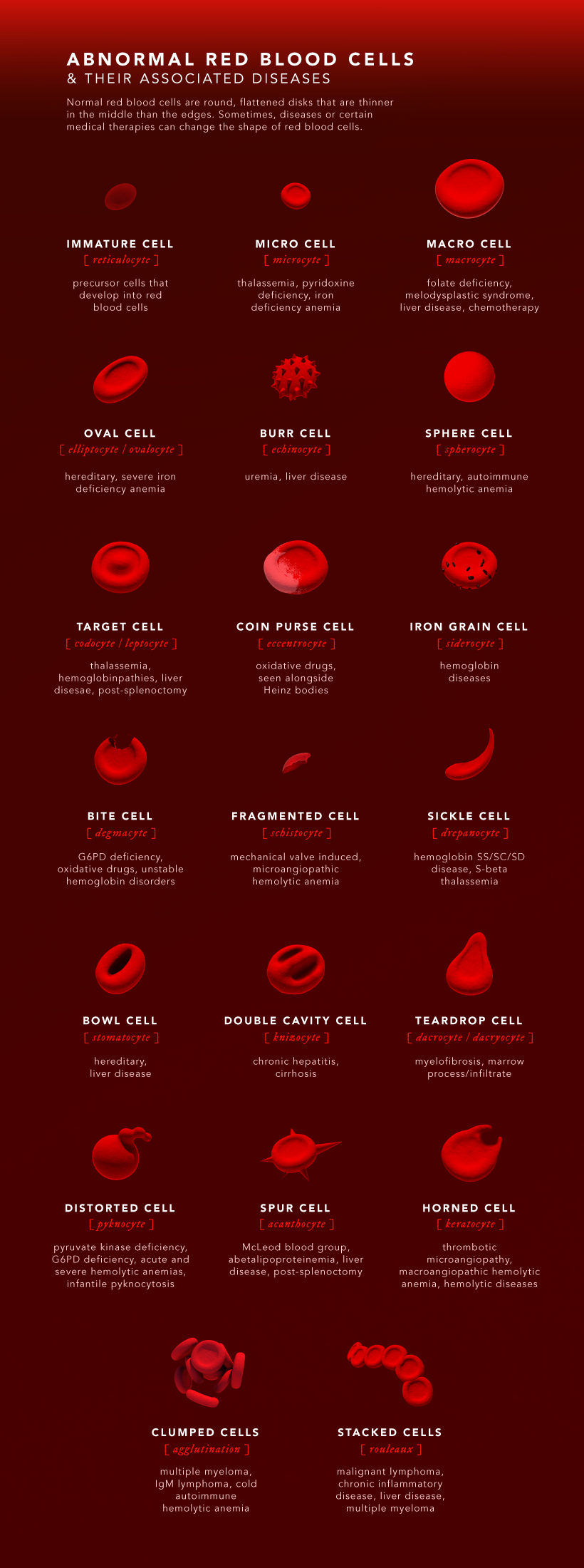 Abnormal Red Blood Cell Chart Abnormal Red Blood Cell Chart