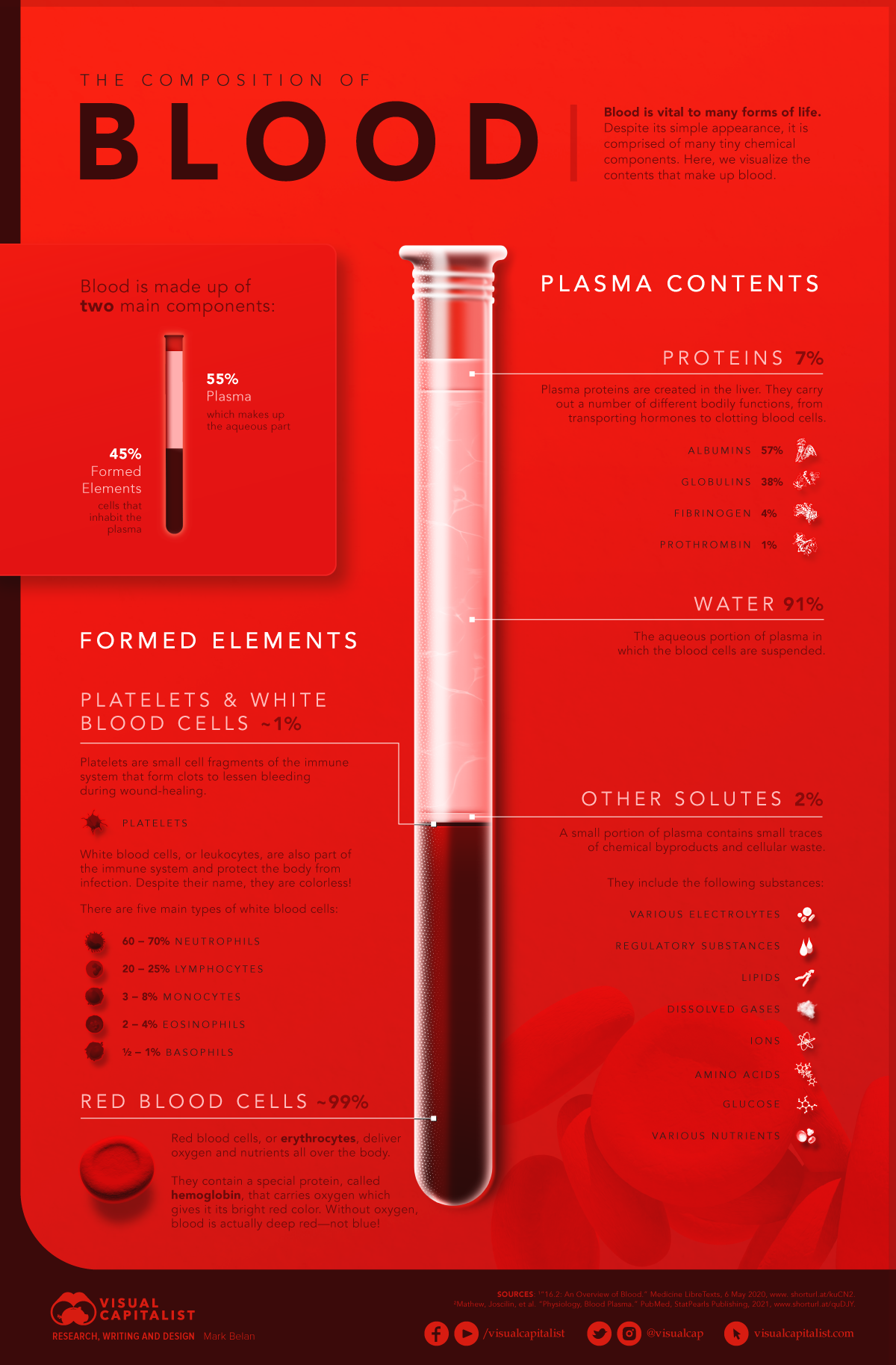 composition of blood