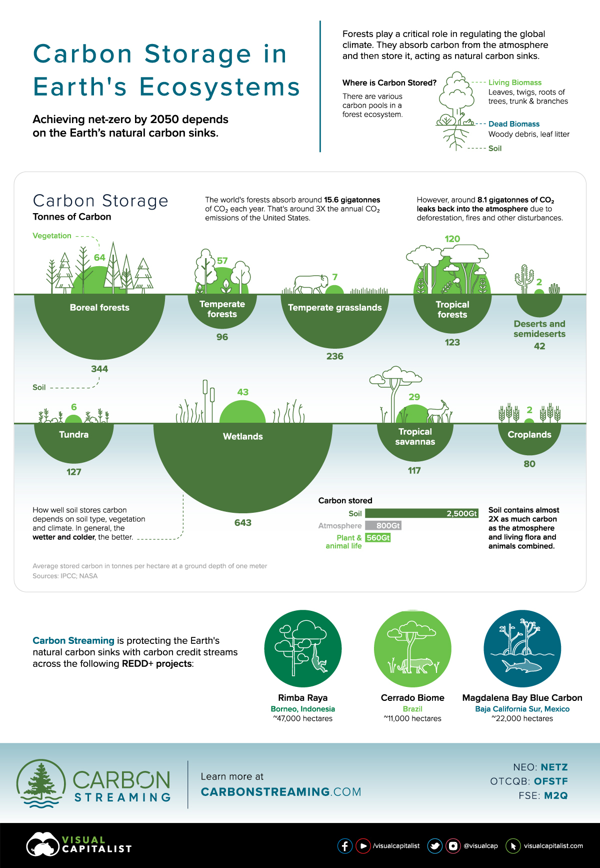 Visualizing Carbon Storage in Earth's Ecosystems