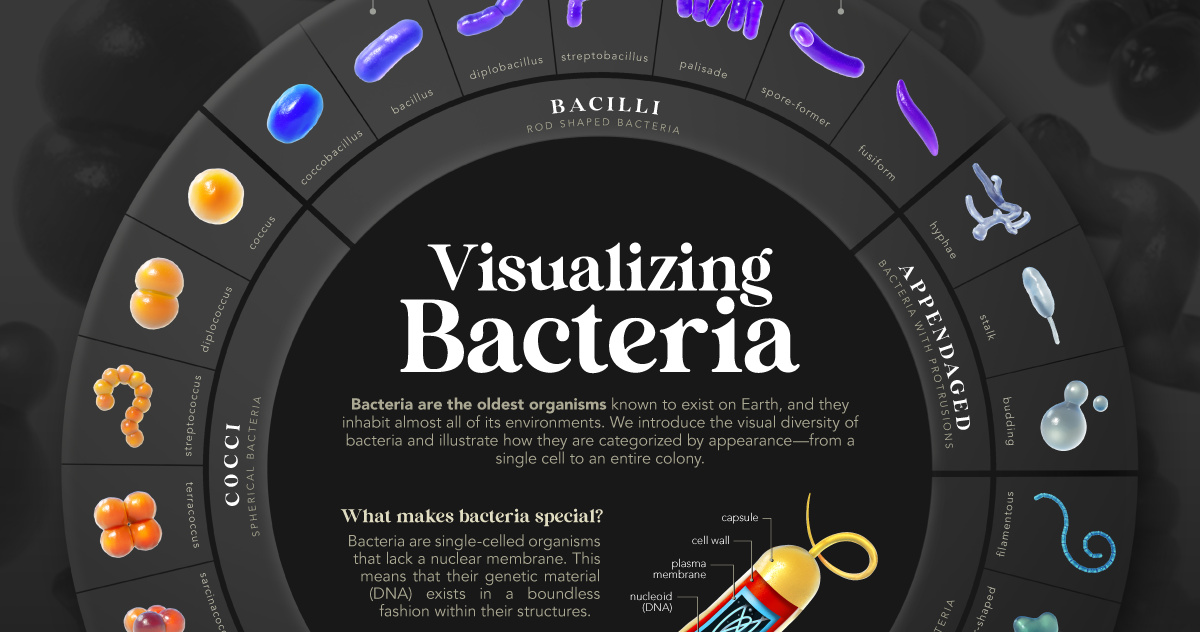 Microorganisms, Free Full-Text