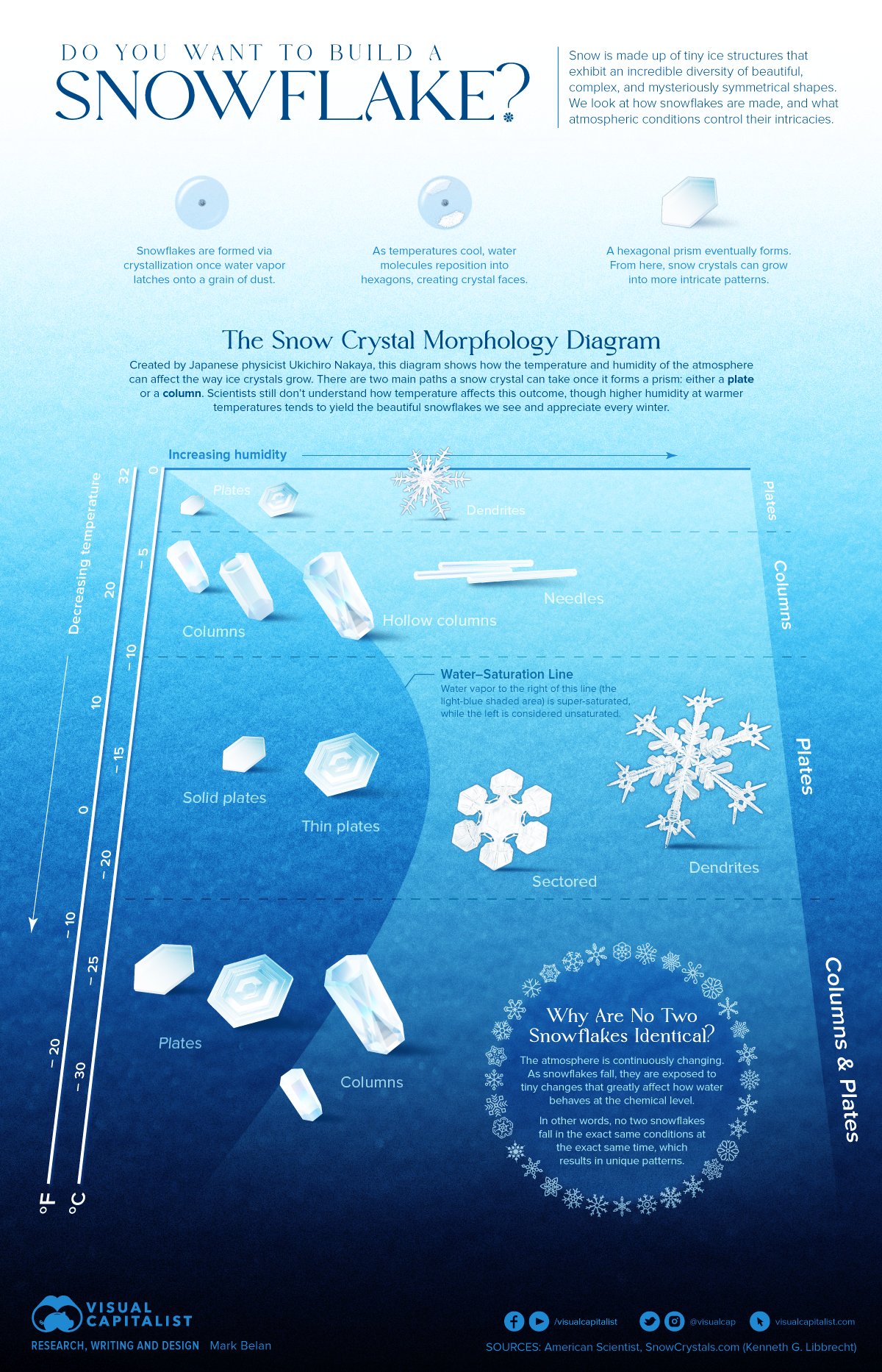 How snowflakes form and why two never look the same