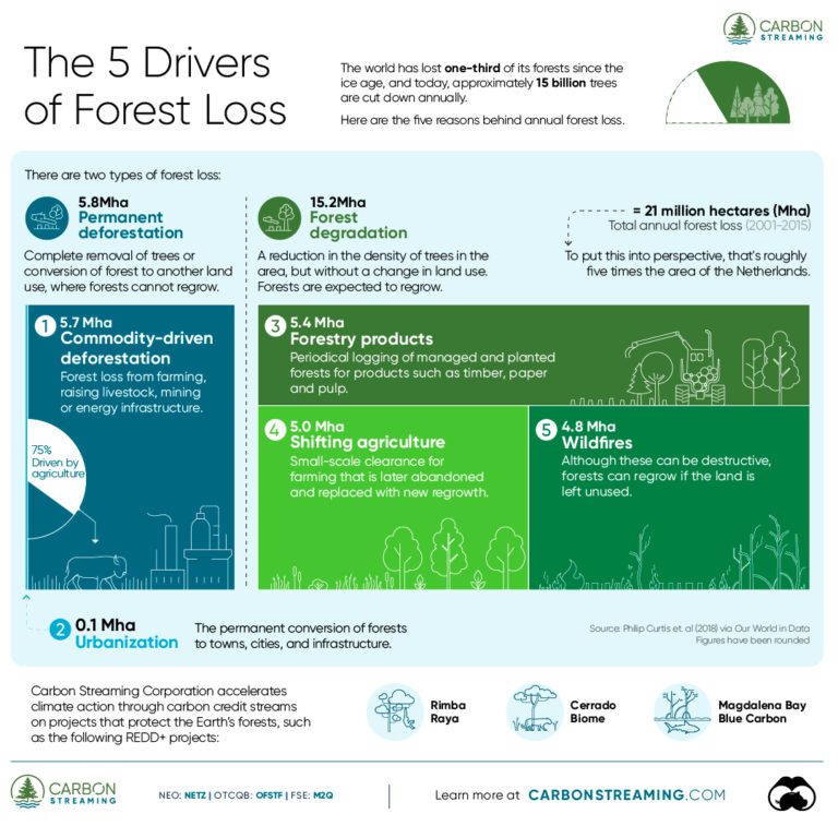 drivers of forest loss