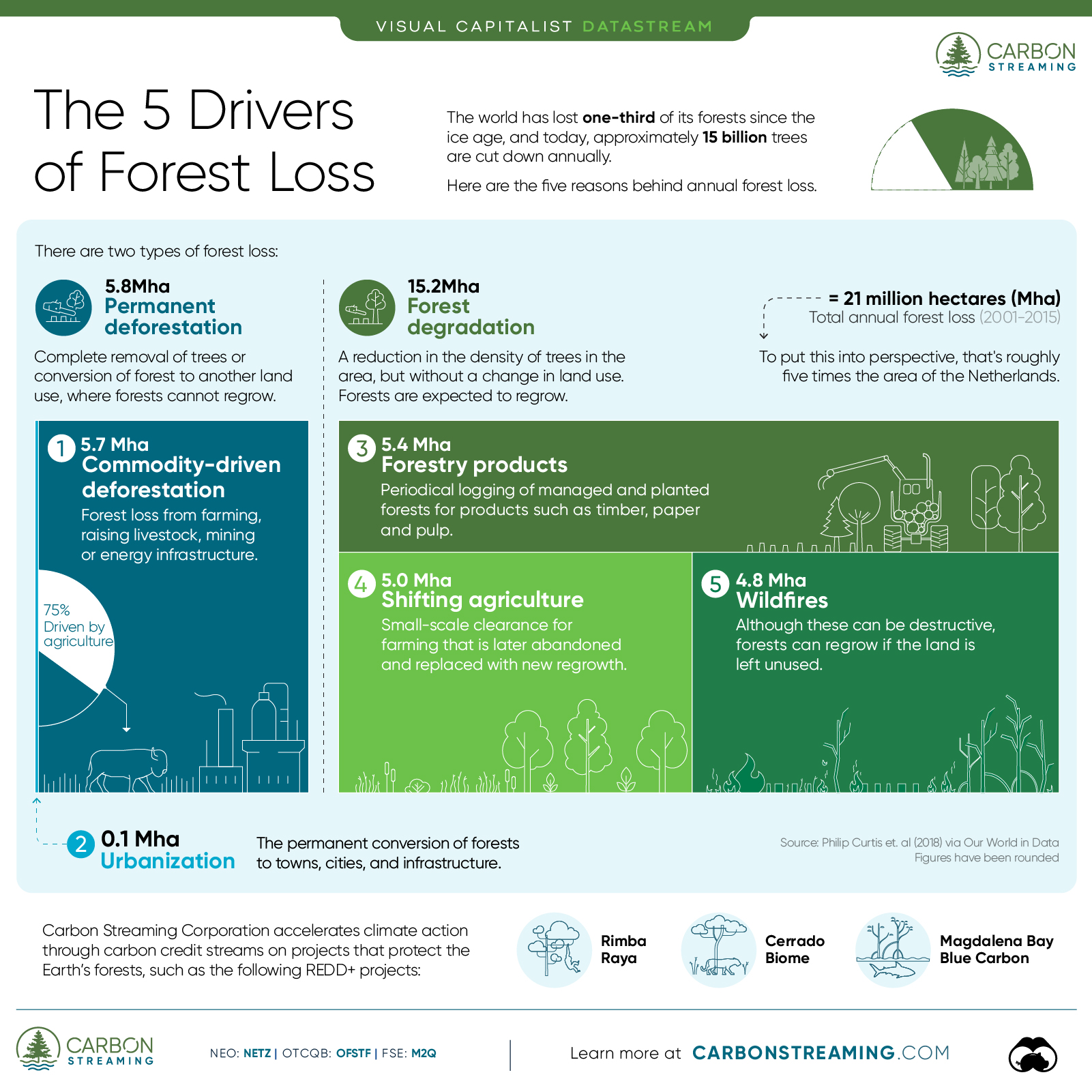 drivers of forest loss