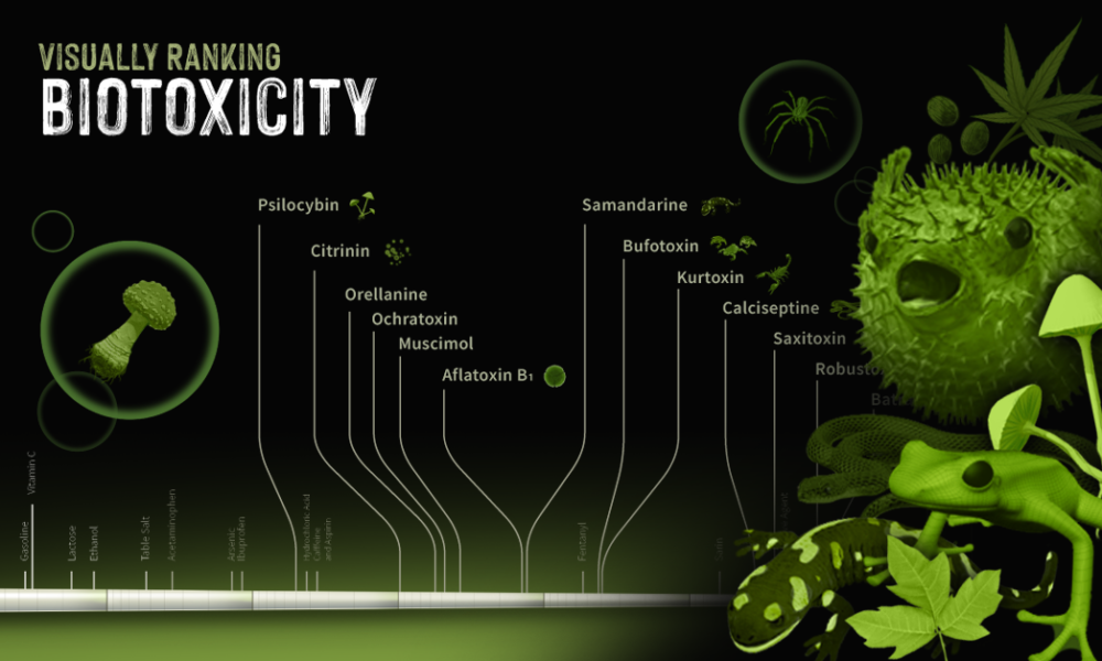 Visually Ranking Biotoxicity Shareable