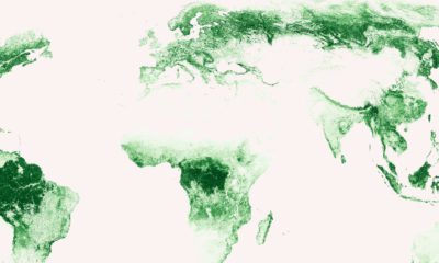 Map of the world's forests