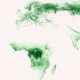 Map of the world's forests