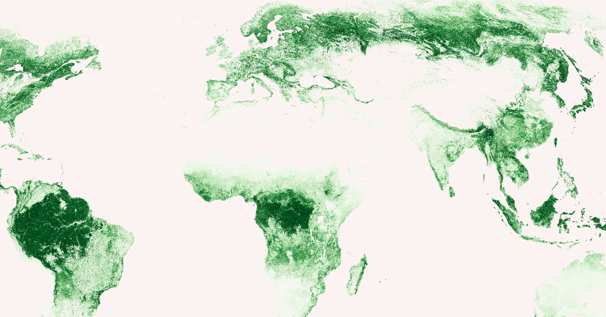 Map of the world's forests