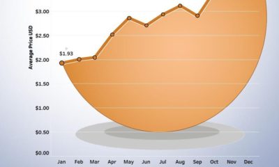 This chart shows the increase in the national average price of a dozen grade-A eggs in the U.S. in 2022.