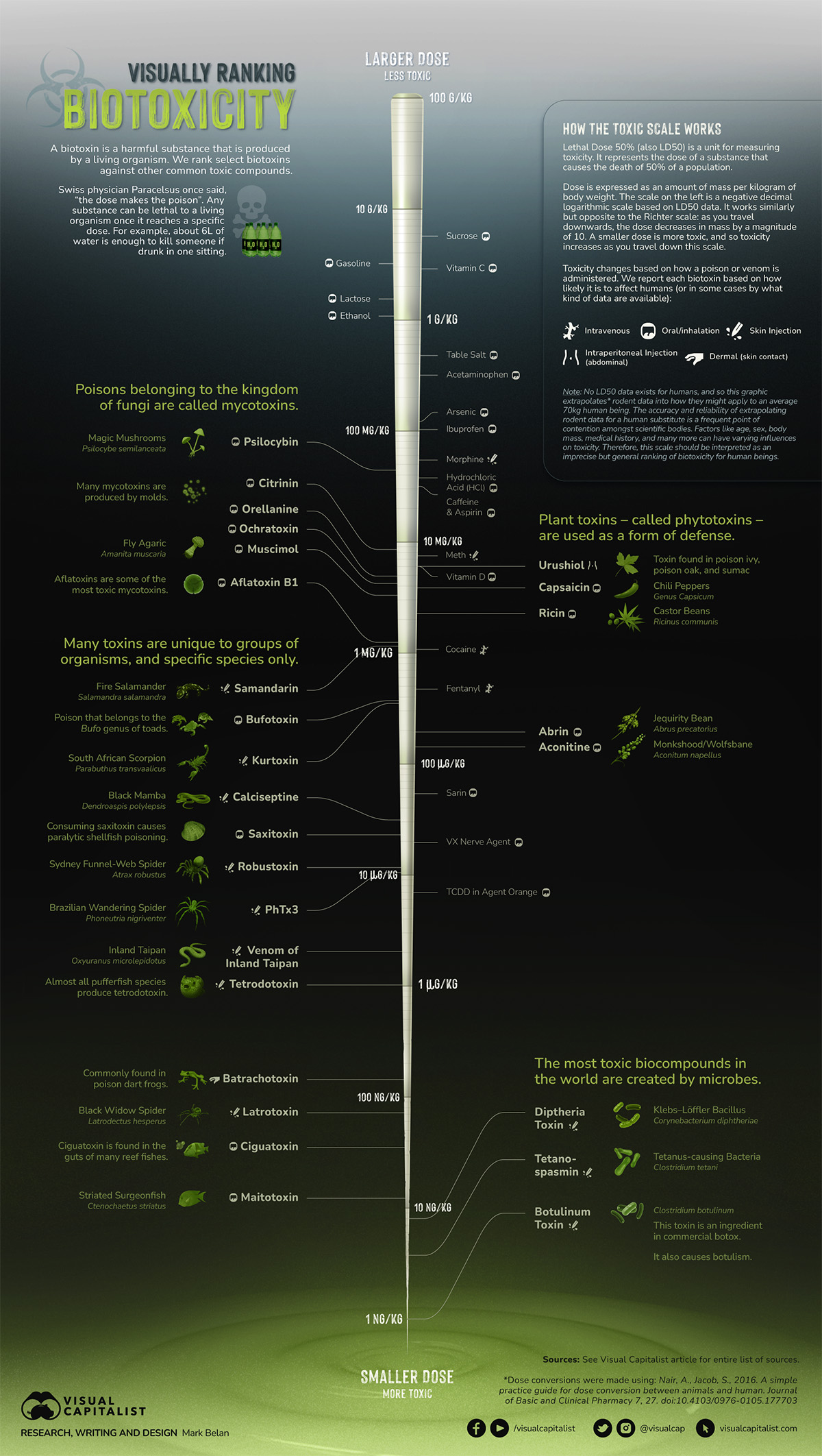 ranking biotoxins in nature infographic