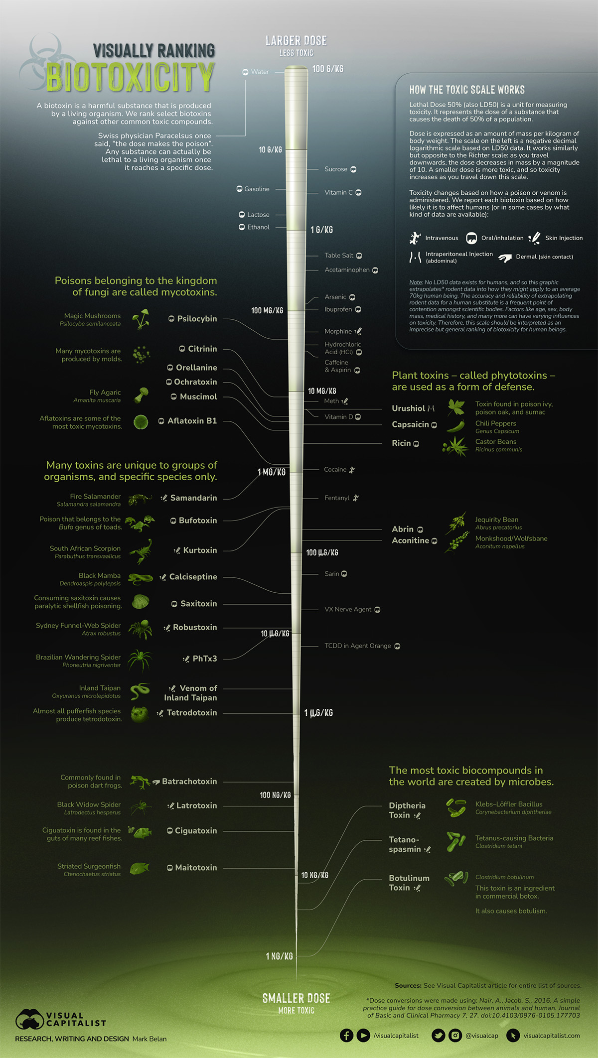 ranking biotoxins in nature infographic