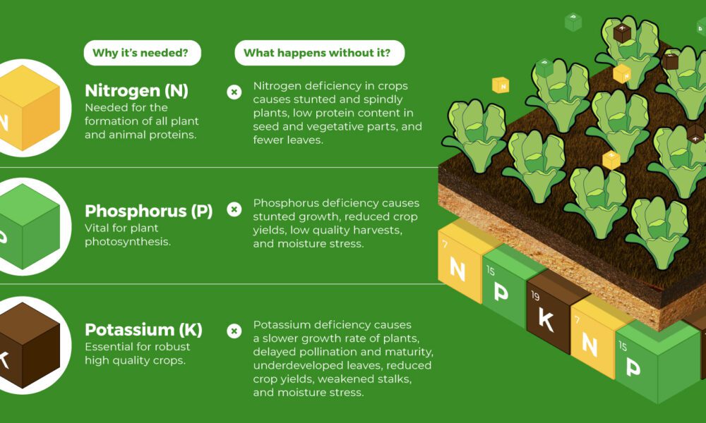 A) Effect of nutrient deficiencies on the specific growth rates