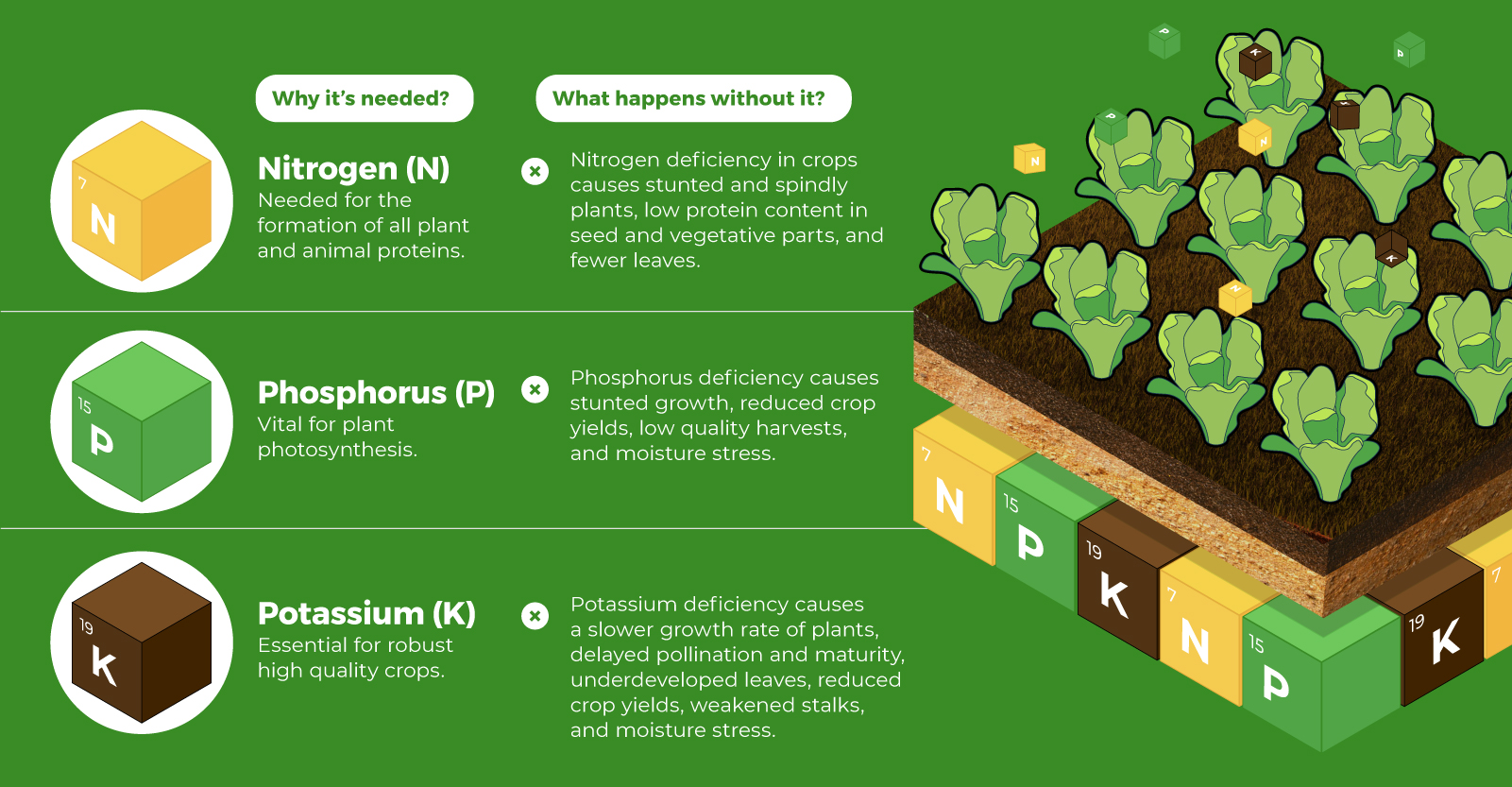 Fertilizer: it's More Important than You