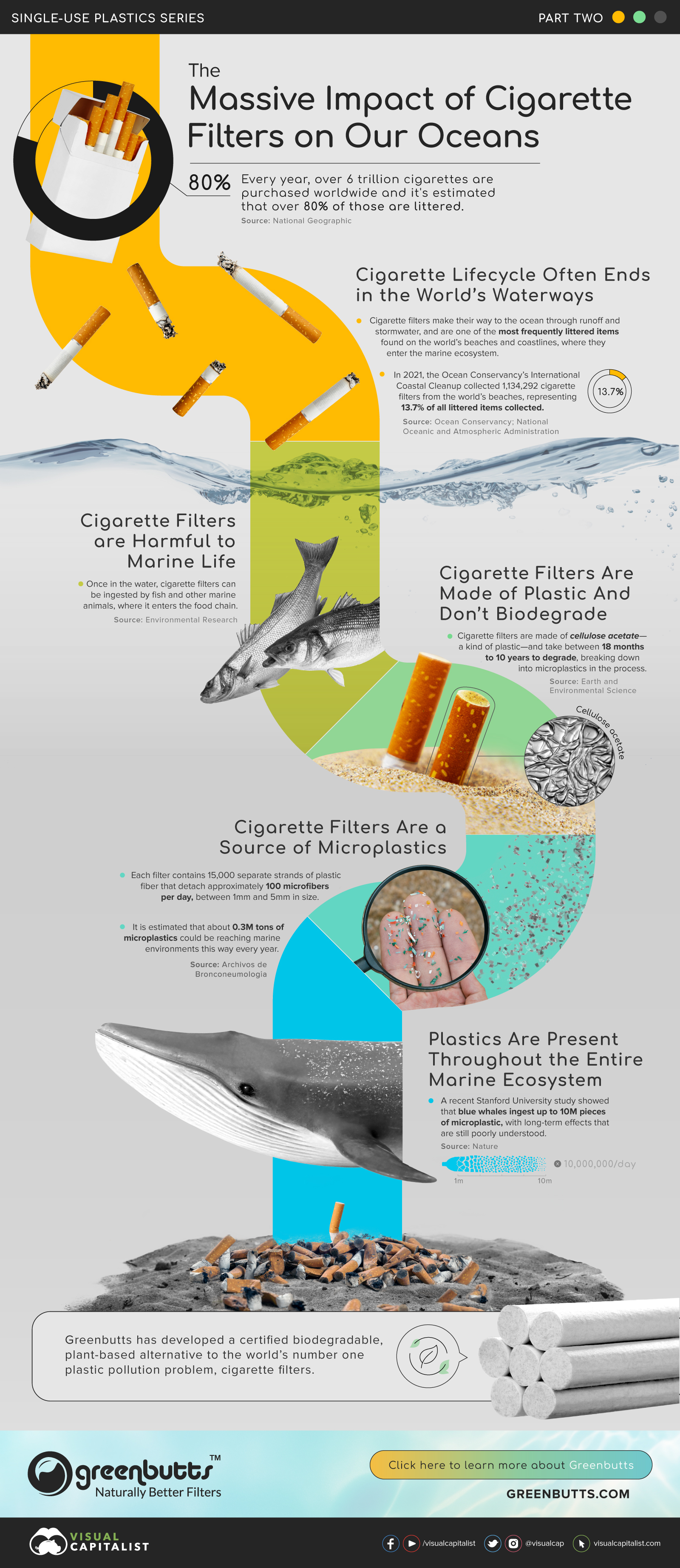 Infographic showing the various ways plastic cigarettes harm ocean life and environments