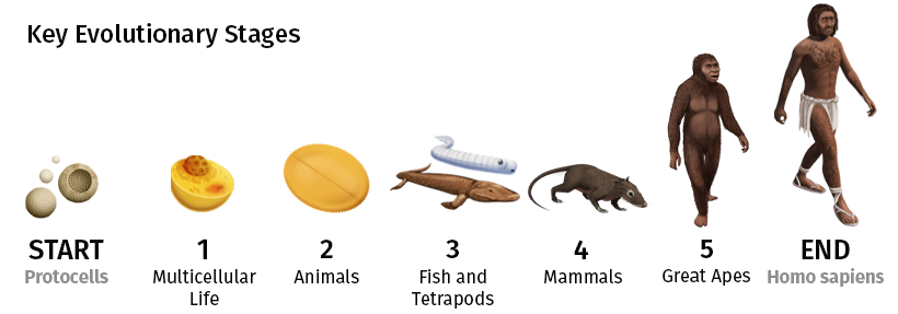 Visualized: The 4 Billion Year Path of Human Evolution