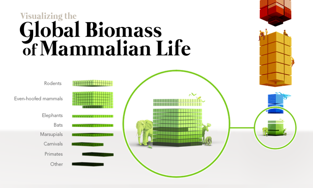 Global Biomass of Mammals