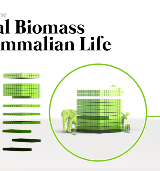 Global Biomass of Mammals