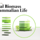 Global Biomass of Mammals