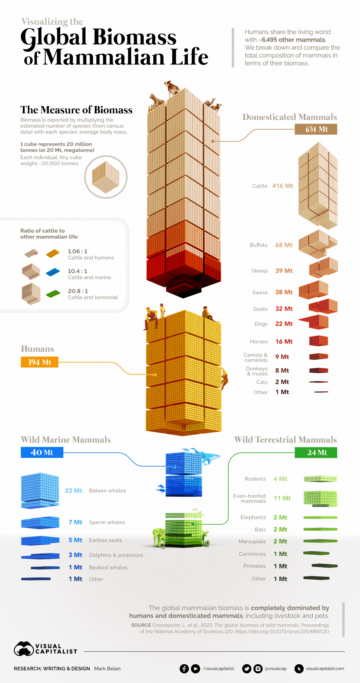 Infographic breakdown of the biomass of mammals on Earth 