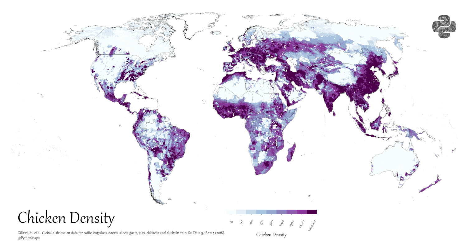 A map of livestock distribution, specifically chickens, in the world.