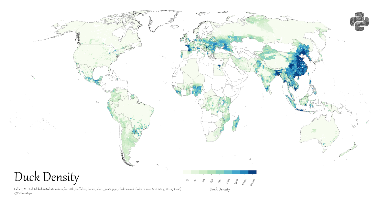 A map of livestock distribution, specifically ducks, in the world.