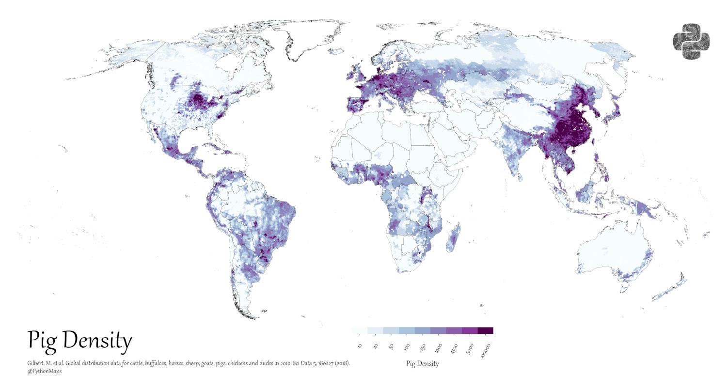 A map of livestock distribution, specifically pigs, in the world.