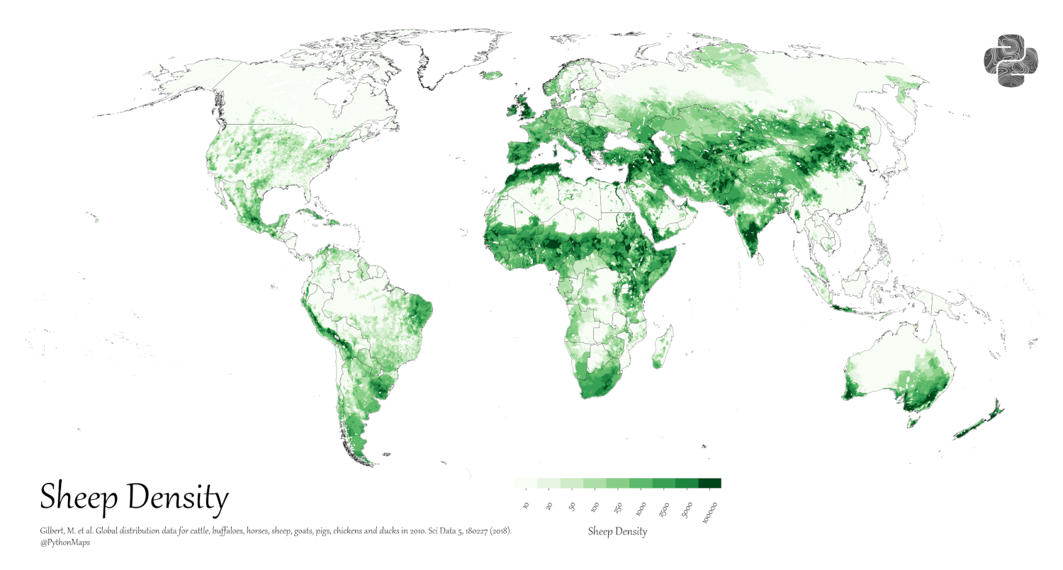 A map of livestock distribution, specifically sheep, in the world.