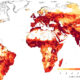 A map of the global distribution of all livestock.