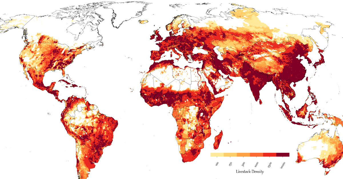 A map of the global distribution of all livestock.