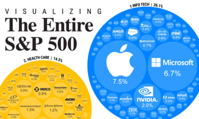 Bubble chart showing a partial breakdown of the S&P 500 companies in the Info Tech and Healthcare sectors. Apple and Microsoft are by far the largest.