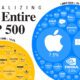 Bubble chart showing a partial breakdown of the S&P 500 companies in the Info Tech and Healthcare sectors. Apple and Microsoft are by far the largest.