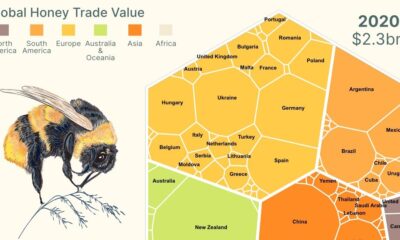 creator con international trade shortlist - honey trade visualization