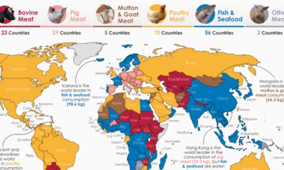A map detailing meat consumption by country, including fish & seafood.