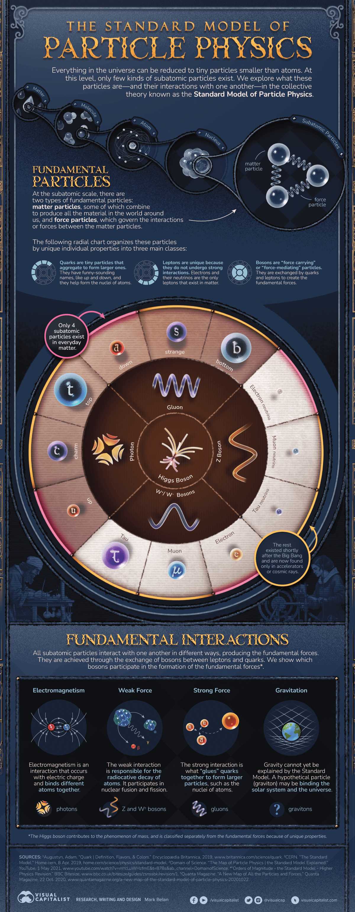 Infographic detailing the fundamental subatomic particles and forces of the universe