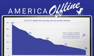 internet adoption in the U.S.