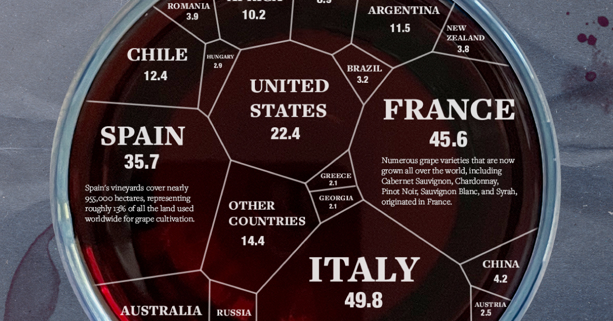 A chart breaking down the major wine producers of the world by country and how much they contribute to world wine supply.