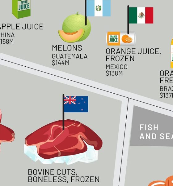 Top U.S. food imports from countries