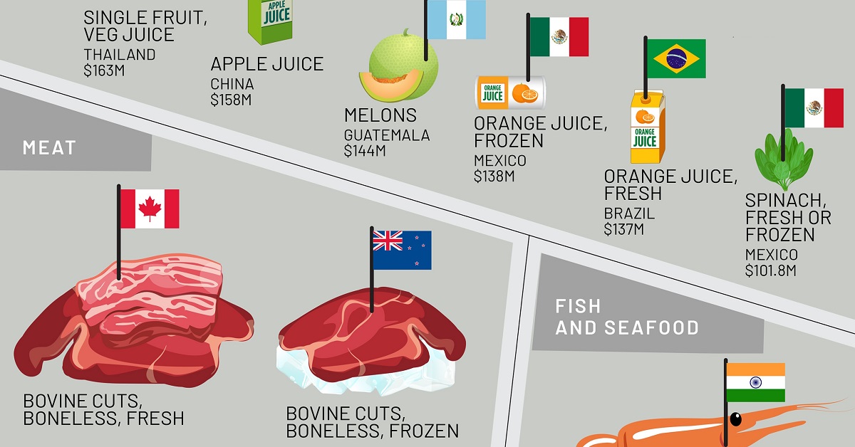 https://www.visualcapitalist.com/wp-content/uploads/2023/08/U.S.-food-imports-shareable.jpg