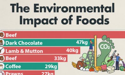 environmental impacts of food production