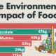 environmental impacts of food production