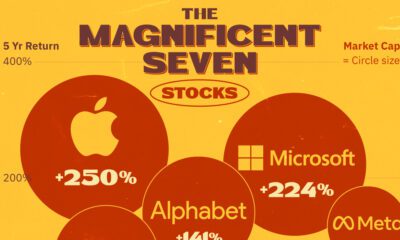 This cropped chart highlights the Magnificent Seven stocks, a group of seven megacap stocks that replace the previous FAANG.