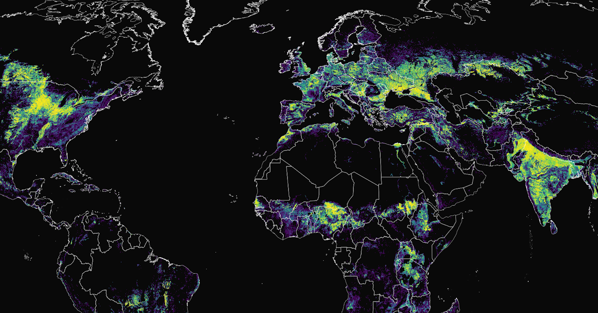 Detailed map of the world’s cropland cover as of 2019.