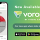 Voronoi by Visual Capitalist is now ready to download