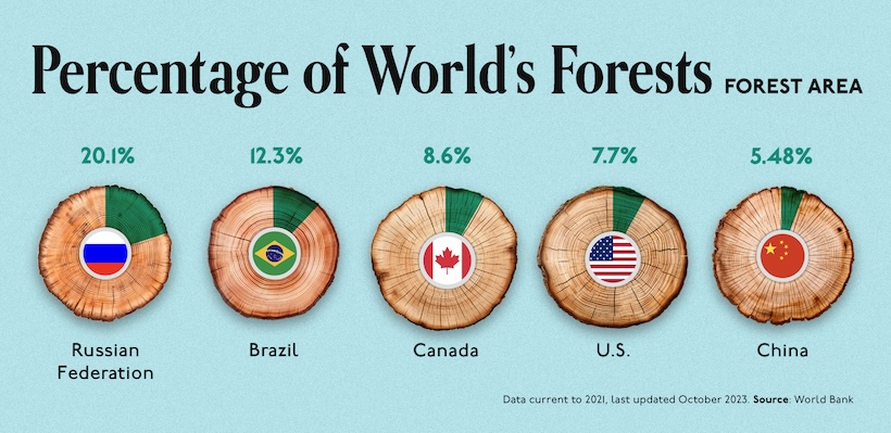 A pie chart with how much the top five countries with the largest forests have of the world's entire forest cover.
