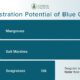 This bar chart shows the carbon sequestration potential of blue carbon