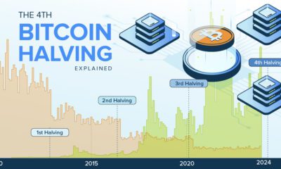 Area graph showing the historical price of Bitcoin in USD with a look ahead to the upcoming 4th halving.