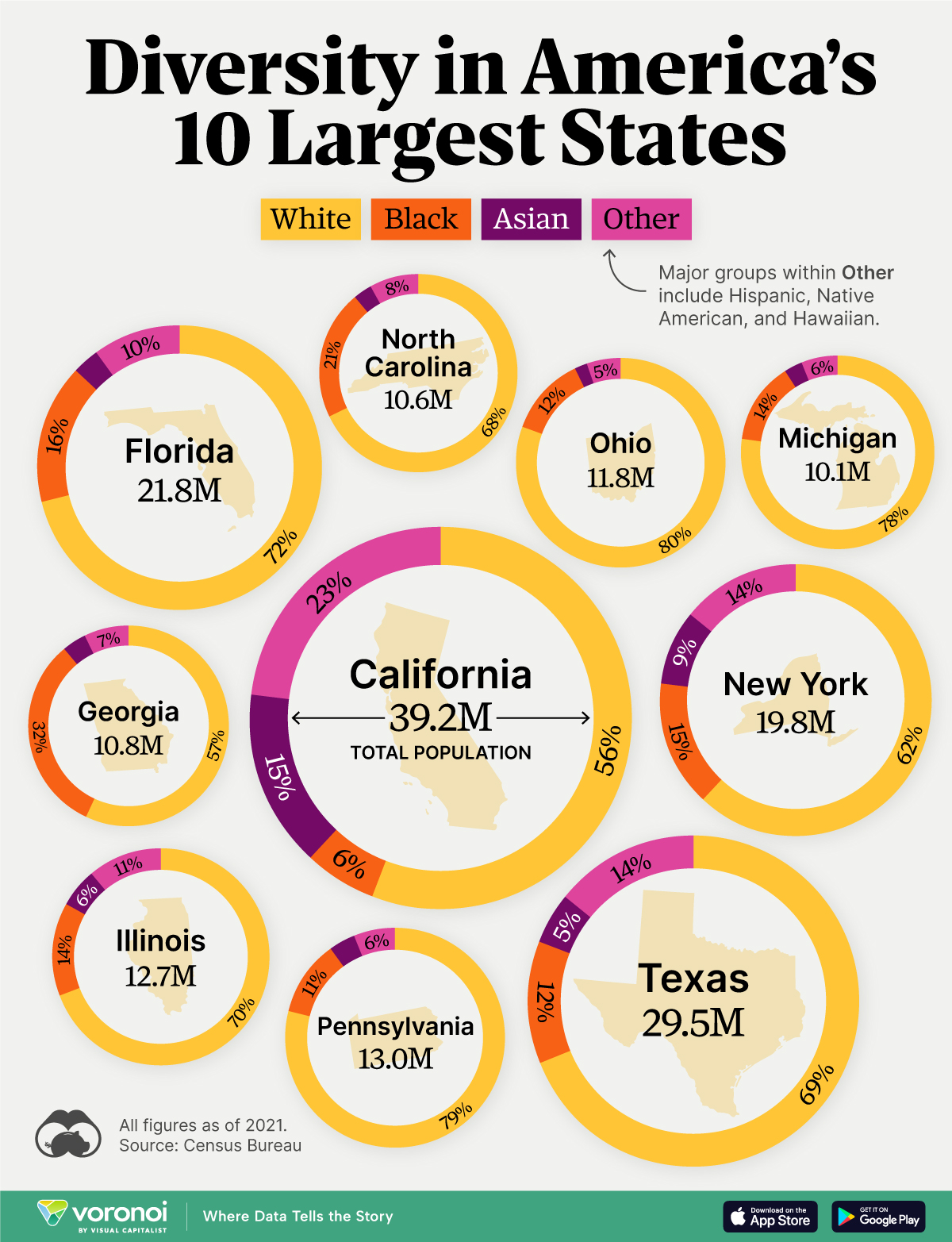 This circle graphic shows racial diversity across the 10 largest U.S. states