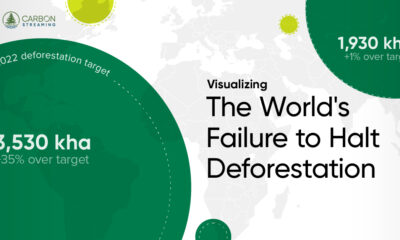 Map Showing How the World Failed to Reduce Deforestation in Certain Regions Around the Globe, Primarily in Tropical Regions.